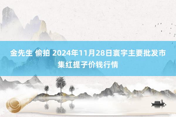 金先生 偷拍 2024年11月28日寰宇主要批发市集红提子价钱行情