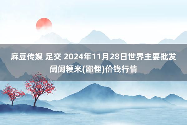 麻豆传媒 足交 2024年11月28日世界主要批发阛阓粳米(鄙俚)价钱行情