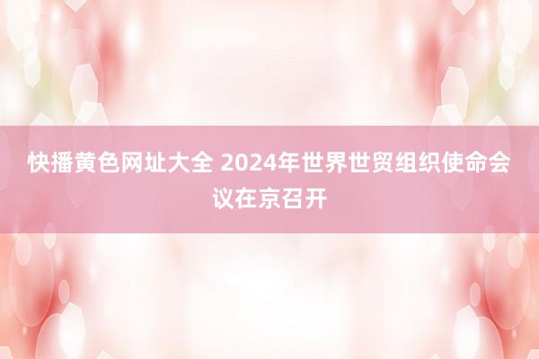 快播黄色网址大全 2024年世界世贸组织使命会议在京召开