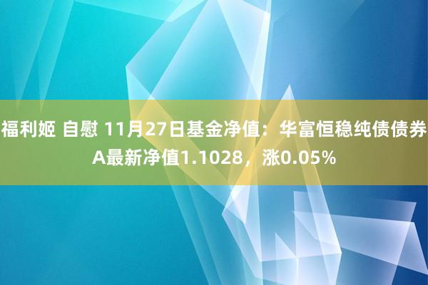 福利姬 自慰 11月27日基金净值：华富恒稳纯债债券A最新净值1.1028，涨0.05%