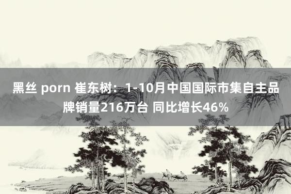 黑丝 porn 崔东树：1-10月中国国际市集自主品牌销量216万台 同比增长46%
