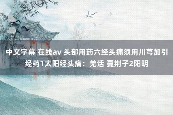 中文字幕 在线av 头部用药六经头痛须用川芎加引经药1太阳经头痛:羌活 蔓荆子2阳明