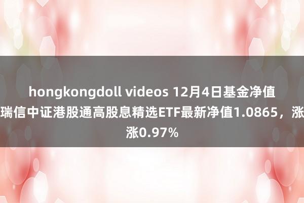 hongkongdoll videos 12月4日基金净值：工银瑞信中证港股通高股息精选ETF最新净值1.0865，涨0.97%