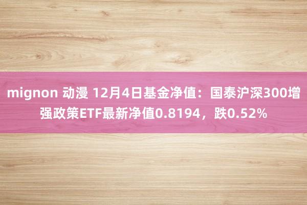 mignon 动漫 12月4日基金净值：国泰沪深300增强政策ETF最新净值0.8194，跌0.52%