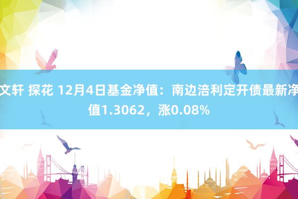 文轩 探花 12月4日基金净值：南边涪利定开债最新净值1.3062，涨0.08%
