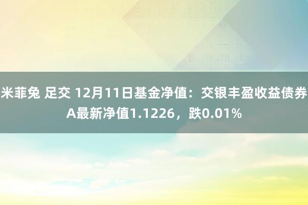 米菲兔 足交 12月11日基金净值：交银丰盈收益债券A最新净值1.1226，跌0.01%