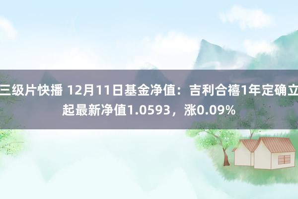 三级片快播 12月11日基金净值：吉利合禧1年定确立起最新净值1.0593，涨0.09%