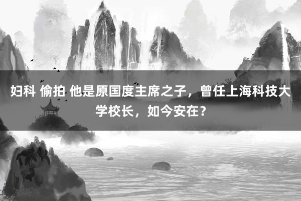 妇科 偷拍 他是原国度主席之子，曾任上海科技大学校长，如今安在？