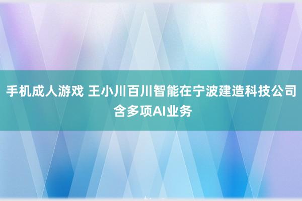 手机成人游戏 王小川百川智能在宁波建造科技公司 含多项AI业务