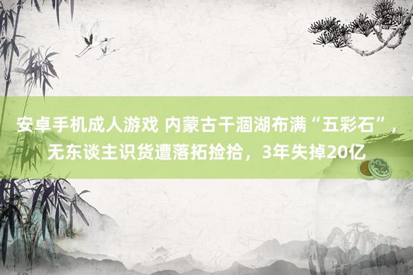 安卓手机成人游戏 内蒙古干涸湖布满“五彩石”，无东谈主识货遭落拓捡拾，3年失掉20亿