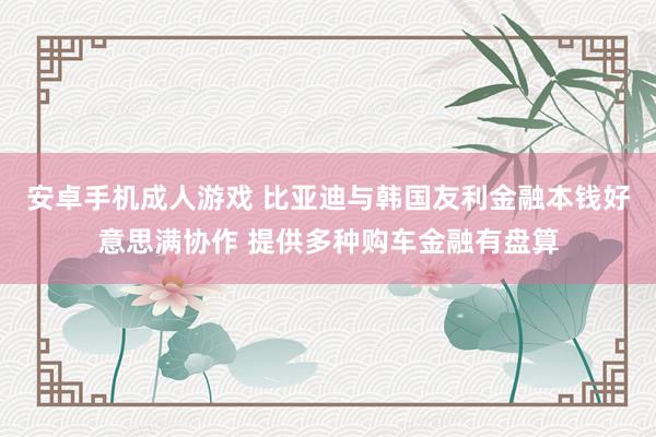 安卓手机成人游戏 比亚迪与韩国友利金融本钱好意思满协作 提供多种购车金融有盘算