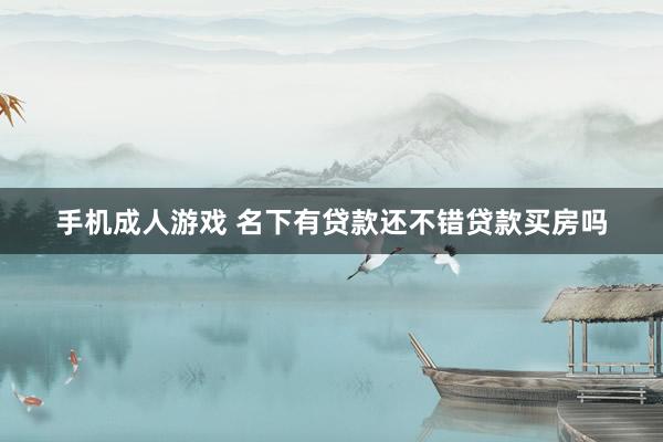 手机成人游戏 名下有贷款还不错贷款买房吗