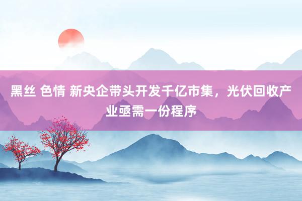 黑丝 色情 新央企带头开发千亿市集，光伏回收产业亟需一份程序