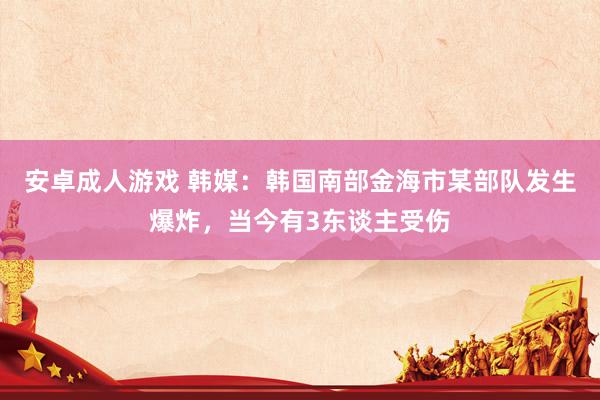 安卓成人游戏 韩媒：韩国南部金海市某部队发生爆炸，当今有3东谈主受伤