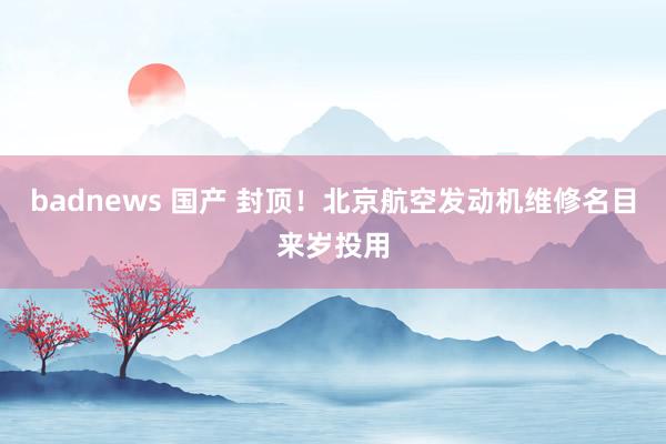 badnews 国产 封顶！北京航空发动机维修名目来岁投用