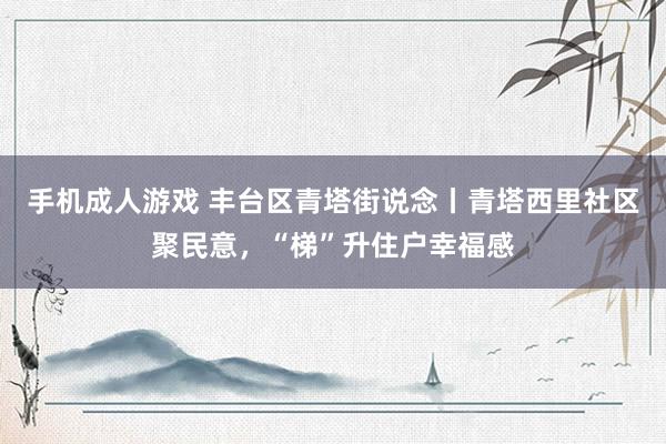 手机成人游戏 丰台区青塔街说念丨青塔西里社区聚民意，“梯”升住户幸福感
