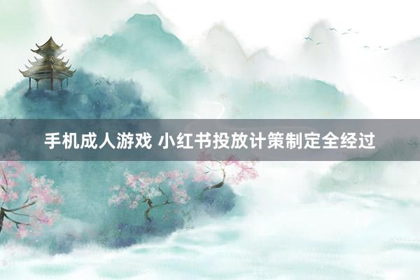 手机成人游戏 小红书投放计策制定全经过