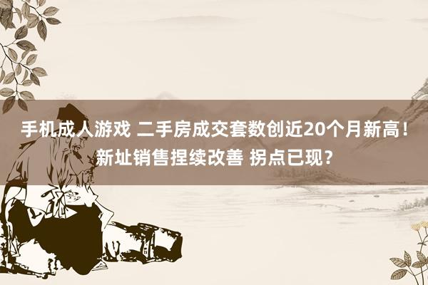手机成人游戏 二手房成交套数创近20个月新高！新址销售捏续改善 拐点已现？