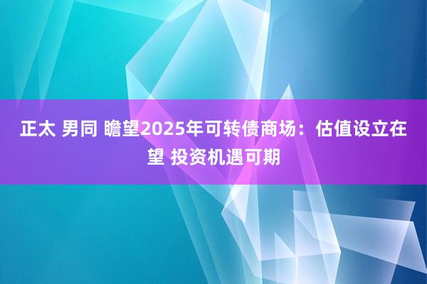 正太 男同 瞻望2025年可转债商场：估值设立在望 投资机遇可期