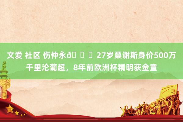 文爱 社区 伤仲永😔27岁桑谢斯身价500万千里沦葡超，8年前欧洲杯精明获金童