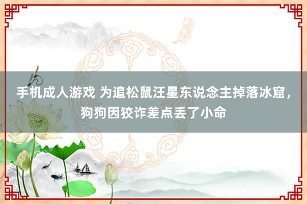 手机成人游戏 为追松鼠汪星东说念主掉落冰窟，狗狗因狡诈差点丢了小命