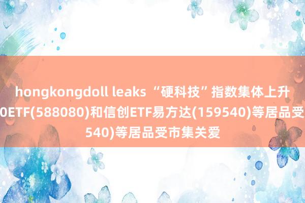 hongkongdoll leaks “硬科技”指数集体上升 科创板50ETF(588080)和信创ETF易方达(159540)等居品受市集关爱