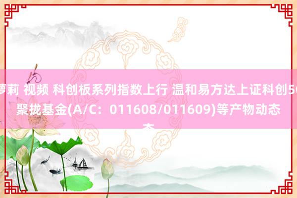 萝莉 视频 科创板系列指数上行 温和易方达上证科创50聚拢基金(A/C：011608/011609)等产物动态