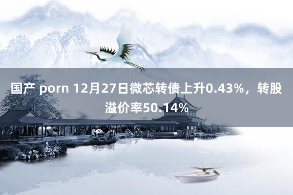 国产 porn 12月27日微芯转债上升0.43%，转股溢价率50.14%