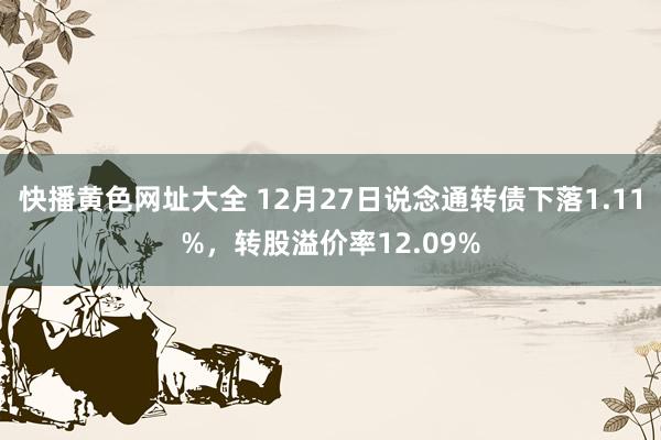 快播黄色网址大全 12月27日说念通转债下落1.11%，转股溢价率12.09%