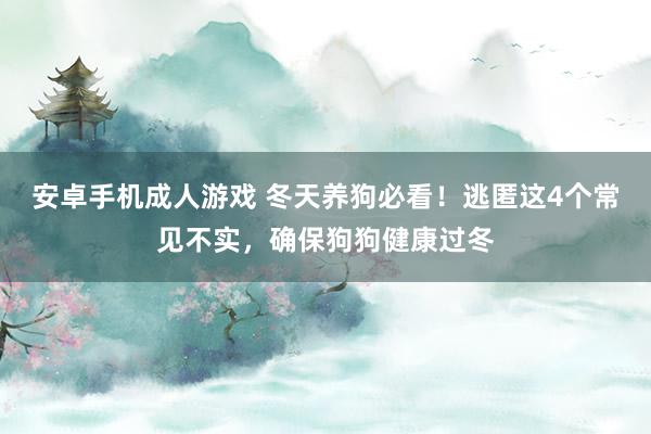 安卓手机成人游戏 冬天养狗必看！逃匿这4个常见不实，确保狗狗健康过冬