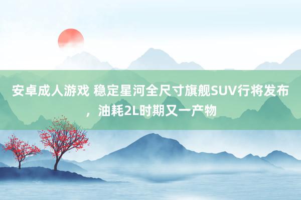 安卓成人游戏 稳定星河全尺寸旗舰SUV行将发布，油耗2L时期又一产物