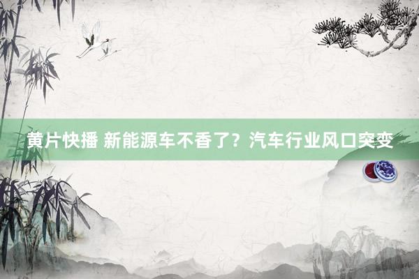 黄片快播 新能源车不香了？汽车行业风口突变