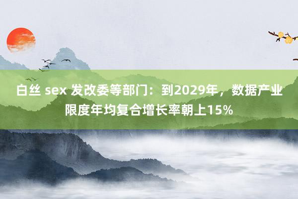 白丝 sex 发改委等部门：到2029年，数据产业限度年均复合增长率朝上15%