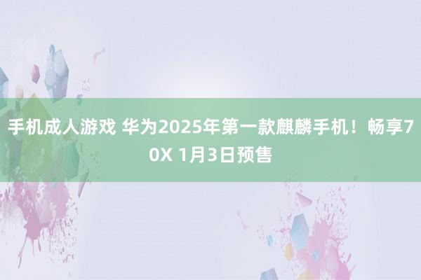 手机成人游戏 华为2025年第一款麒麟手机！畅享70X 1月3日预售