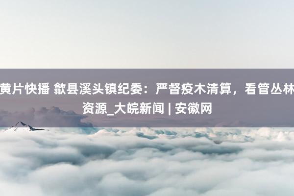 黄片快播 歙县溪头镇纪委：严督疫木清算，看管丛林资源_大皖新闻 | 安徽网