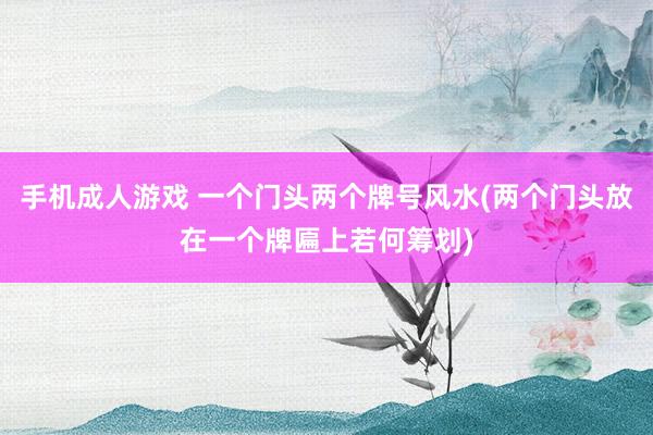手机成人游戏 一个门头两个牌号风水(两个门头放在一个牌匾上若何筹划)