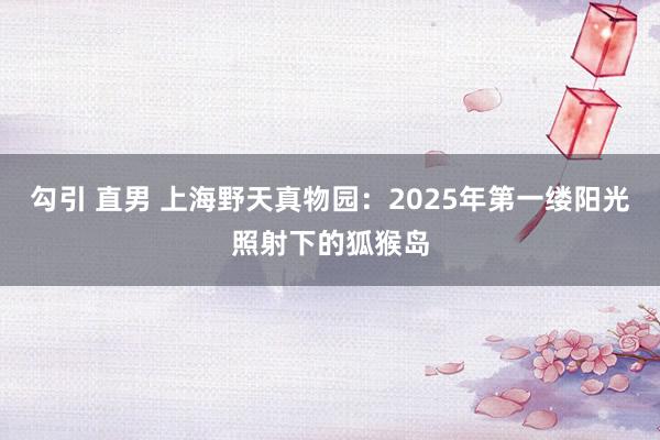 勾引 直男 上海野天真物园：2025年第一缕阳光照射下的狐猴岛