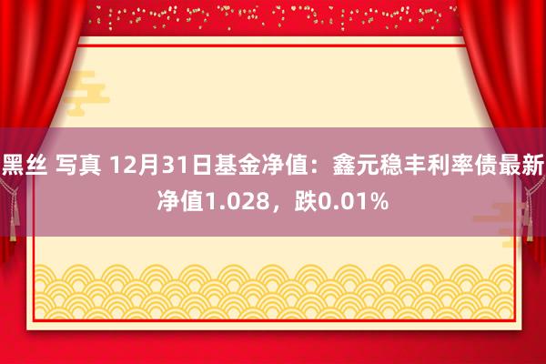 黑丝 写真 12月31日基金净值：鑫元稳丰利率债最新净值1.028，跌0.01%