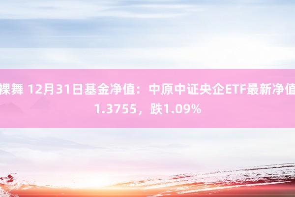 裸舞 12月31日基金净值：中原中证央企ETF最新净值1.3755，跌1.09%