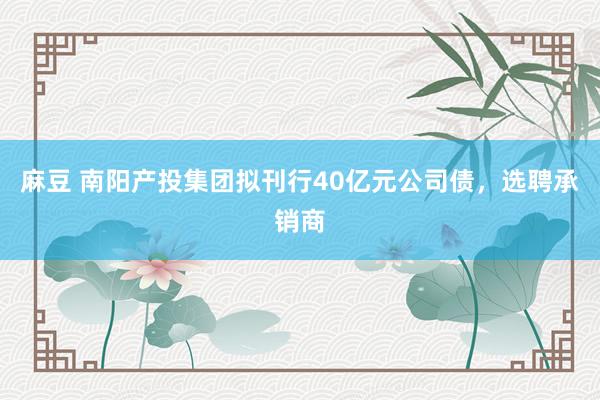 麻豆 南阳产投集团拟刊行40亿元公司债，选聘承销商