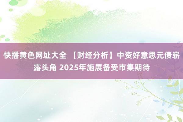快播黄色网址大全 【财经分析】中资好意思元债崭露头角 2025年施展备受市集期待