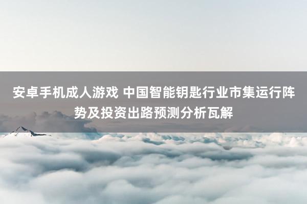 安卓手机成人游戏 中国智能钥匙行业市集运行阵势及投资出路预测分析瓦解