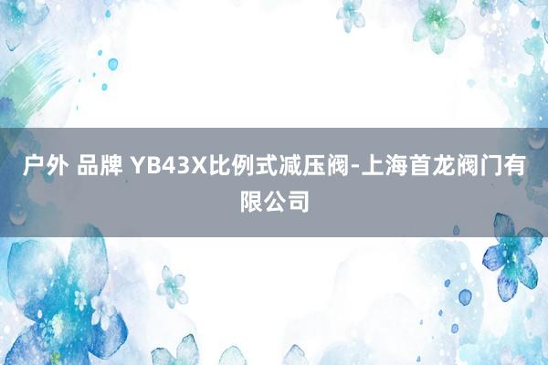 户外 品牌 YB43X比例式减压阀-上海首龙阀门有限公司