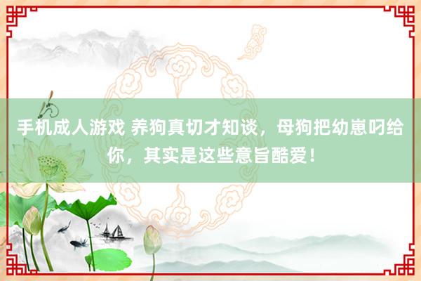 手机成人游戏 养狗真切才知谈，母狗把幼崽叼给你，其实是这些意旨酷爱！