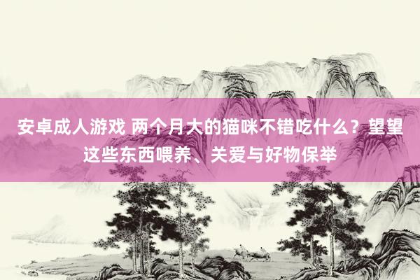 安卓成人游戏 两个月大的猫咪不错吃什么？望望这些东西喂养、关爱与好物保举