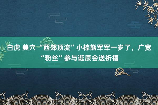 白虎 美穴 “西郊顶流”小棕熊军军一岁了，广宽“粉丝”参与诞辰会送祈福