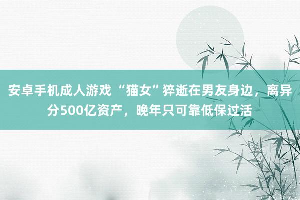 安卓手机成人游戏 “猫女”猝逝在男友身边，离异分500亿资产，晚年只可靠低保过活