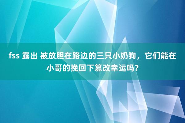 fss 露出 被放胆在路边的三只小奶狗，它们能在小哥的挽回下篡改幸运吗？