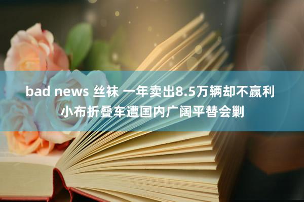 bad news 丝袜 一年卖出8.5万辆却不赢利 小布折叠车遭国内广阔平替会剿