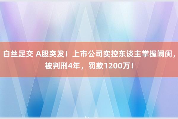 白丝足交 A股突发！上市公司实控东谈主掌握阛阓，被判刑4年，罚款1200万！